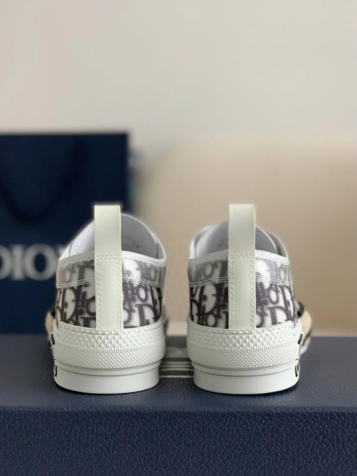 DIOR SNEAKER